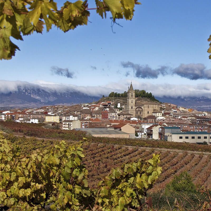 Camino de Santiago en Navarrete, La Rioja